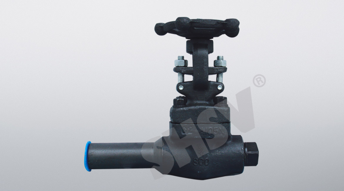 �����L(zh��ng)�y�w�l�y