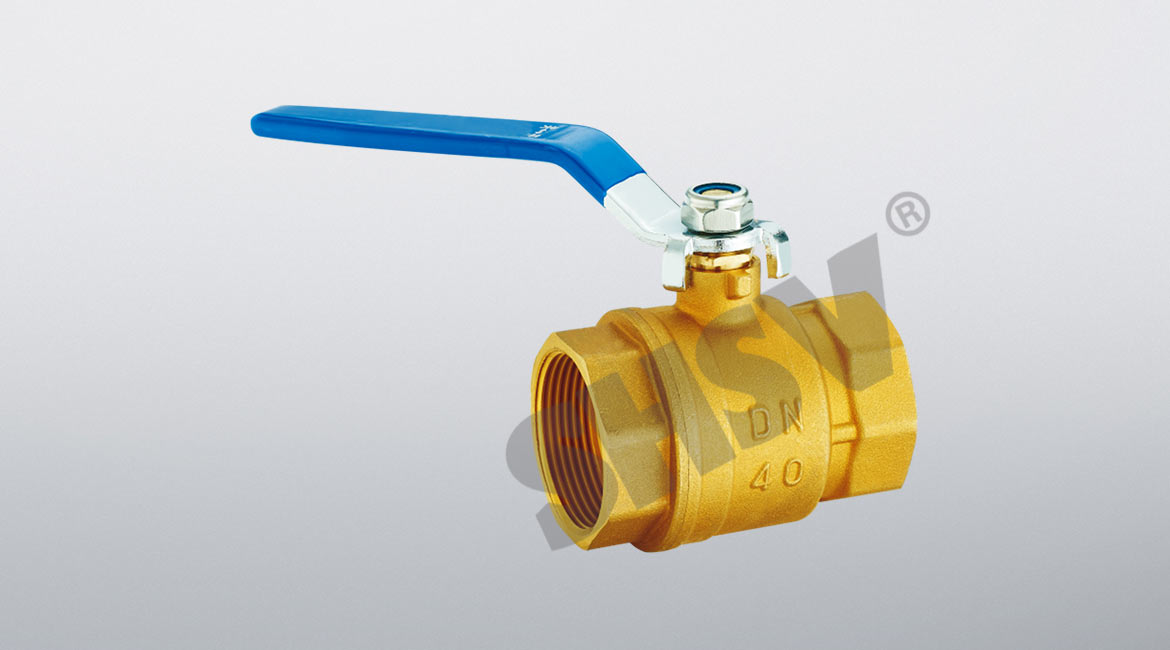 �z�����y